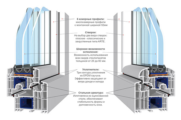 Salamander-BluEvolution-2_1
